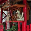 日曜〓写真と墓参りと〓