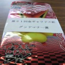 【2011/9/11(日)】第21回金ギャラドス杯(〜18：00)