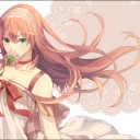 次の環境で赤単を使うとしたら？