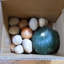 届きました。