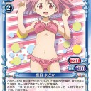 【PM】ほぼ脳内構築まどマギ水着