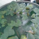 氾濫寸前・・・。（さらに・・・追記しました）