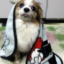 お礼状を。