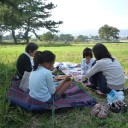 武庫川コスモス園