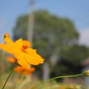 日曜〓鍵とAGEと〓