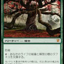 MTG読み物【リプレイ】