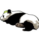 GP前最終調整会