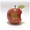 iPod touch