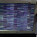 ありゃ？6