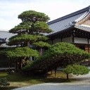 12日（土）：14年振りの京都観光