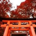 日曜ﾚｶﾞｼｰ