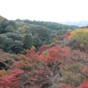 清水寺の紅葉
