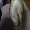 土曜〓2011と大晦日と〓