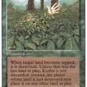 新年企画　Revised Edition 英語版スターター １BOX　開封！　9個目