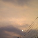 火曜〓散歩と作業と〓