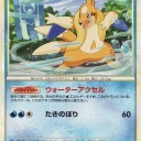 水デッキ思案中☆