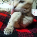 ３９歳になりました。