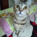 チエちゃん。