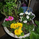 花は心を和ましてくれます