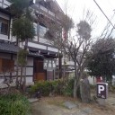 林探幽作名前入り湯のみ茶碗が完成