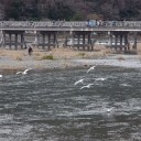 京都嵐山