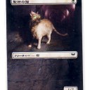 【拡張アート】聖所の猫