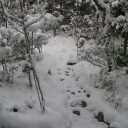 只今　爆針（進）中！