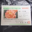 第30回可児シティマラソンin花フェスタ