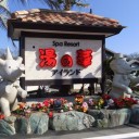 第30回可児シティマラソンin花フェスタ