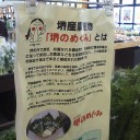 堺のめぐみ