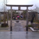 土曜〓福岡と熊本と〓
