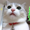 3月21日の日記