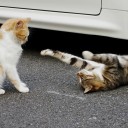 ヒトコマ