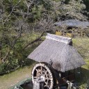 土曜〓桜と初対面と〓
