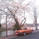 サニー春を迎えられました