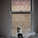 晴天なのに心は雨
