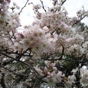 4月14日の日記