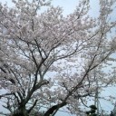 のんびりな週末