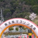 ２０１２龍王桜マラソン＆ウォーキング大会