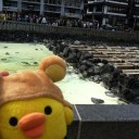 ゆばたけ！