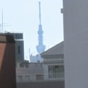 五月晴れ