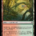 いいのっくんの隆盛　前編