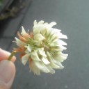 歩くくらいの早さで。