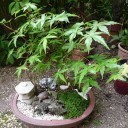 蓮根料理