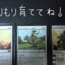 きすきん！