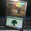 mtg　《拡張アート》　森