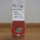 【レポ】バトカニ名古屋～モンメンがエルフーンに進化するとき～