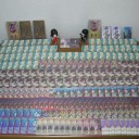 【つれずれ番外】ポケモン図鑑「金銀」到達記念日記【狂人注意】