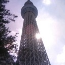 やはり行って見ないと分からない