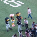 負けられない戦いがそこにはある